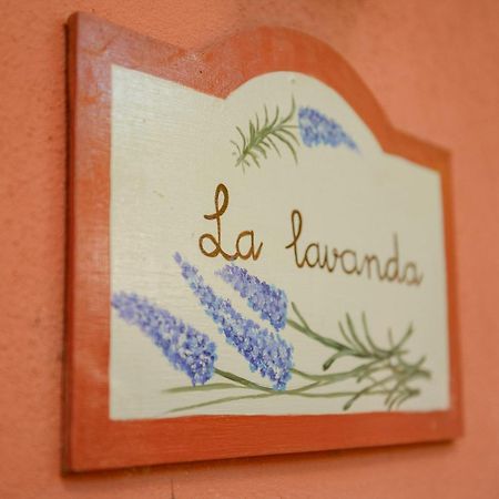 Homeforguest Cosy Rural Flat La Lavanda Surrounded By Nature Такоронте Экстерьер фото