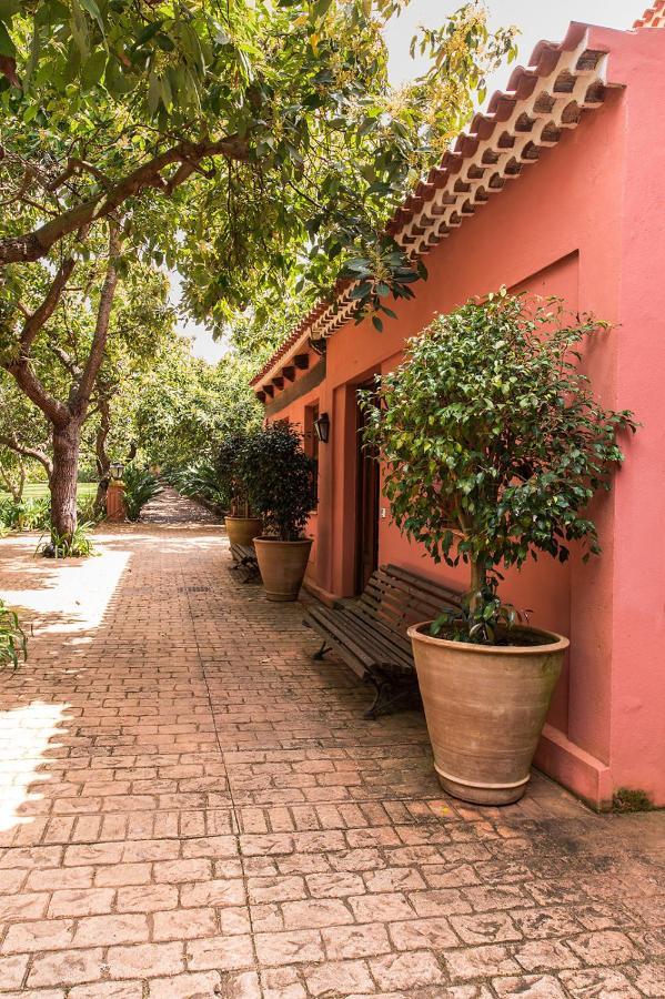Homeforguest Cosy Rural Flat La Lavanda Surrounded By Nature Такоронте Экстерьер фото