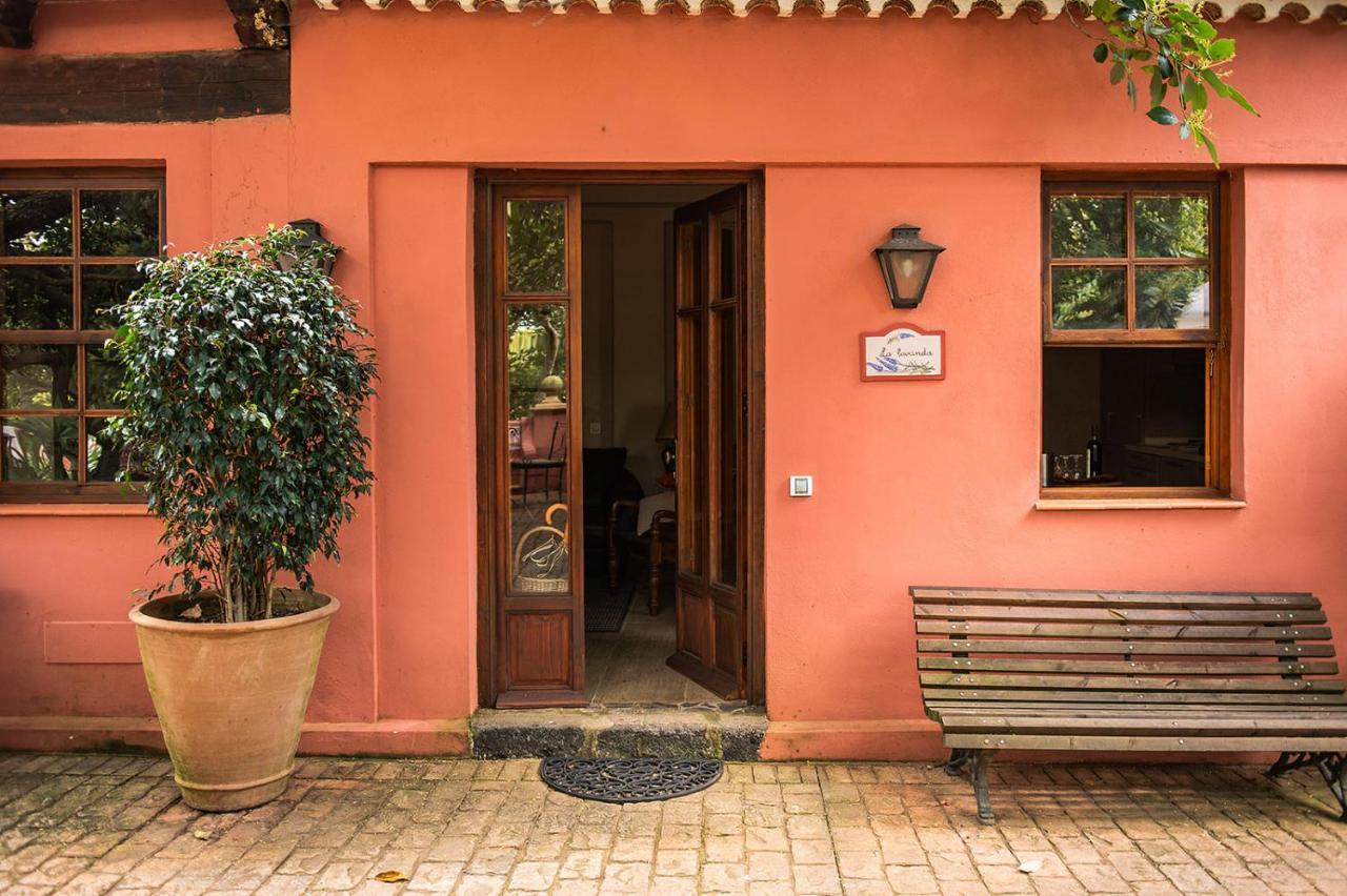 Homeforguest Cosy Rural Flat La Lavanda Surrounded By Nature Такоронте Экстерьер фото