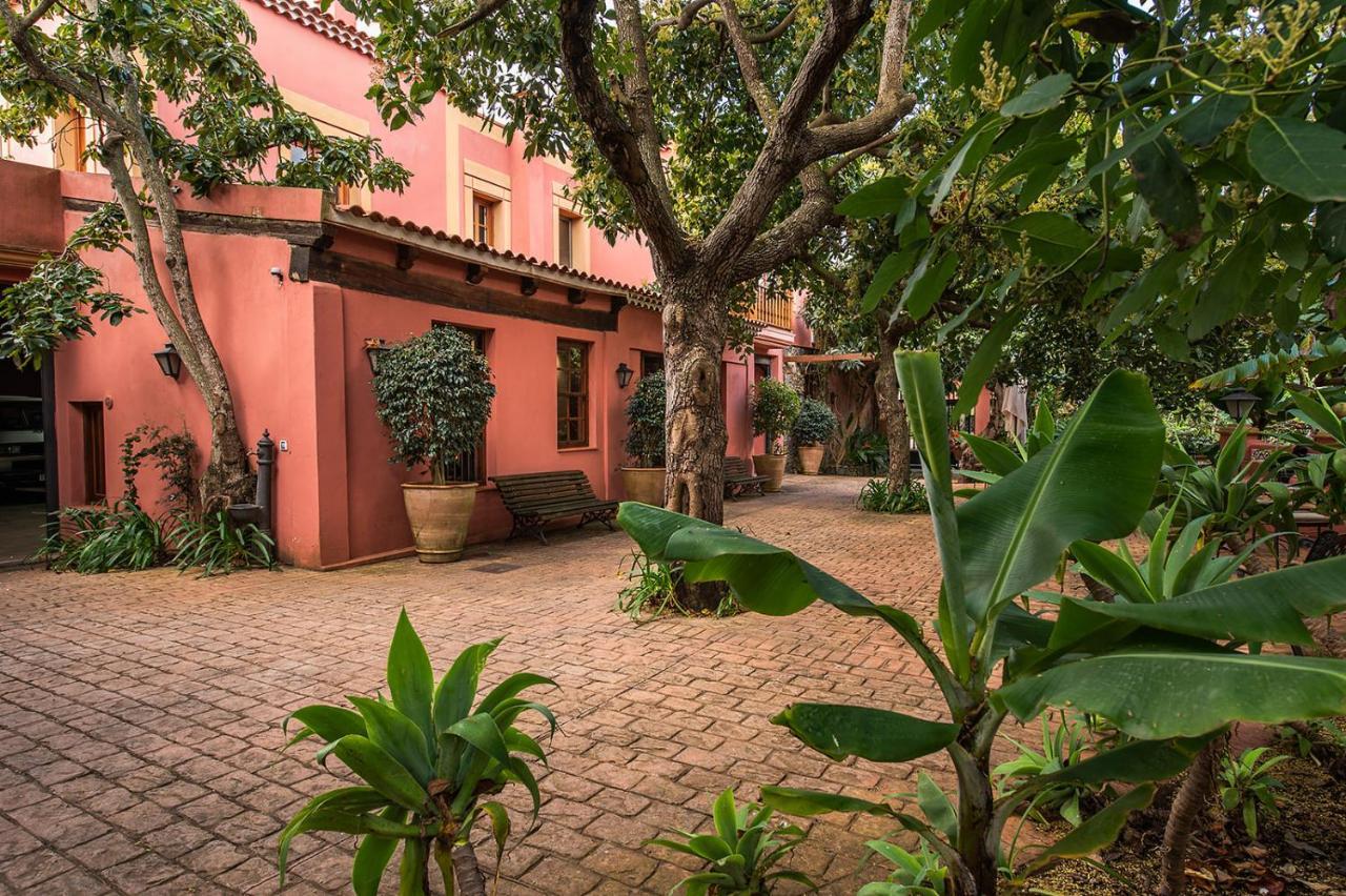 Homeforguest Cosy Rural Flat La Lavanda Surrounded By Nature Такоронте Экстерьер фото